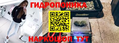 бошки Краснодар