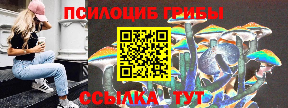 Златоуст  Галлюциногенные грибы Cubensis  Вход с VPN 